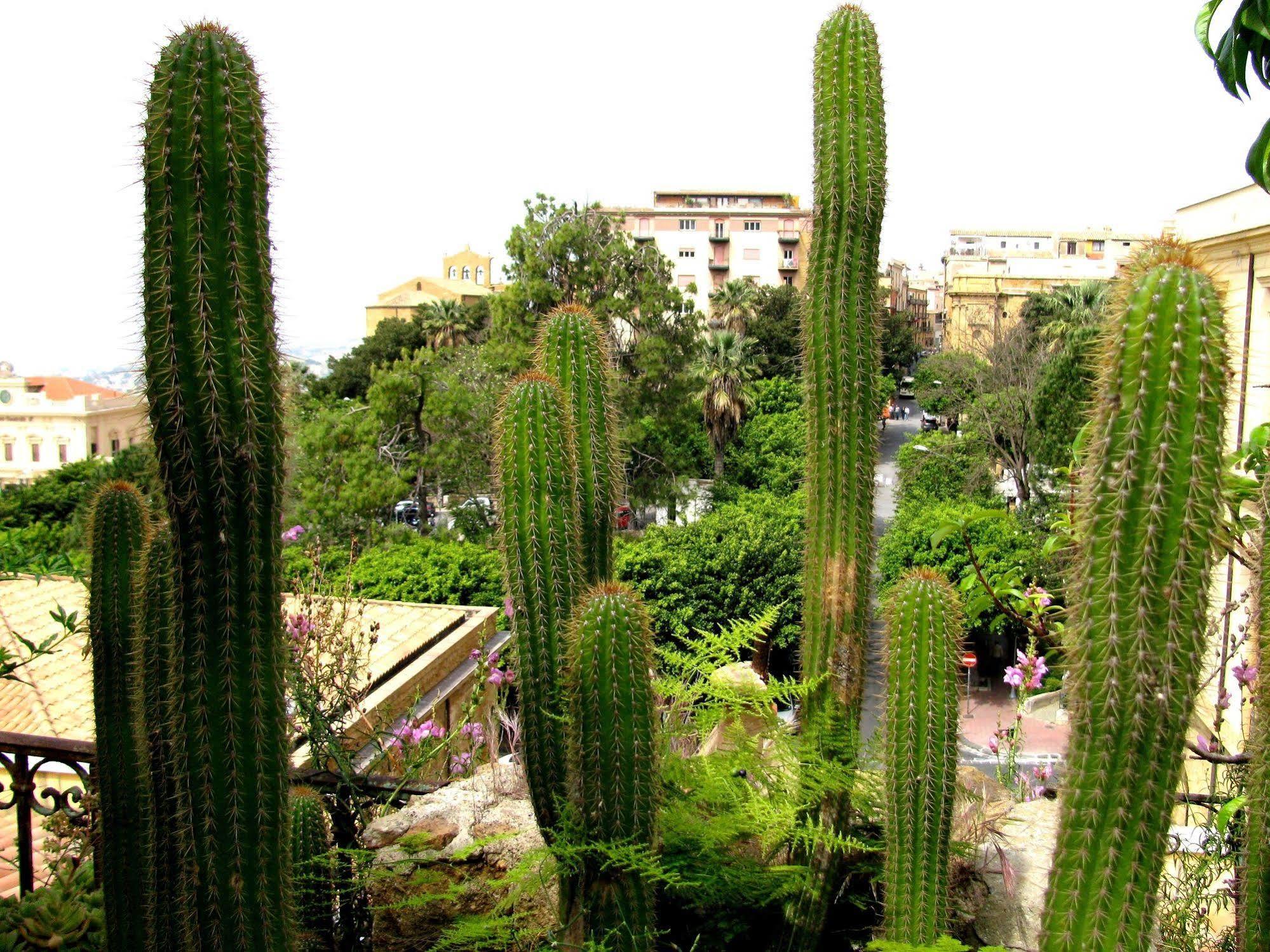 Bed & Breakfast Le Palme Agrigento Exterior photo
